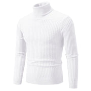 New Men's High Neck Sweater Solid Color Pullover Knitted Warm Casual Turtleneck Sweater