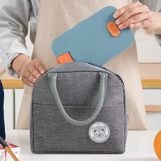 Insulated Lunch HandBag for student and for Travelling